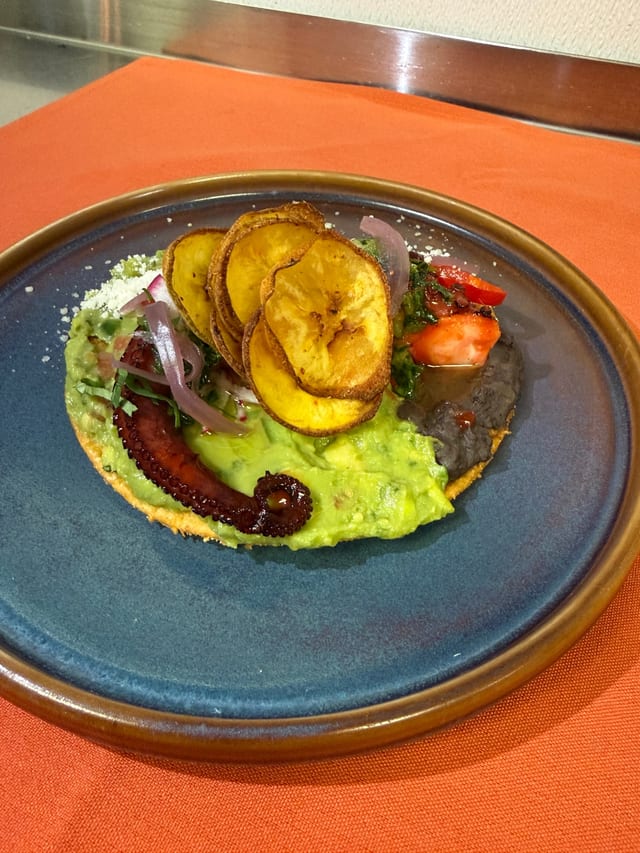 New Octopus Tostada